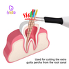 Wireless Dental Gutta Percha Tooth Gum Cutter Endo Gutta Cutter