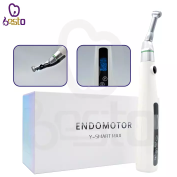 What are the features of the dental endo motor?